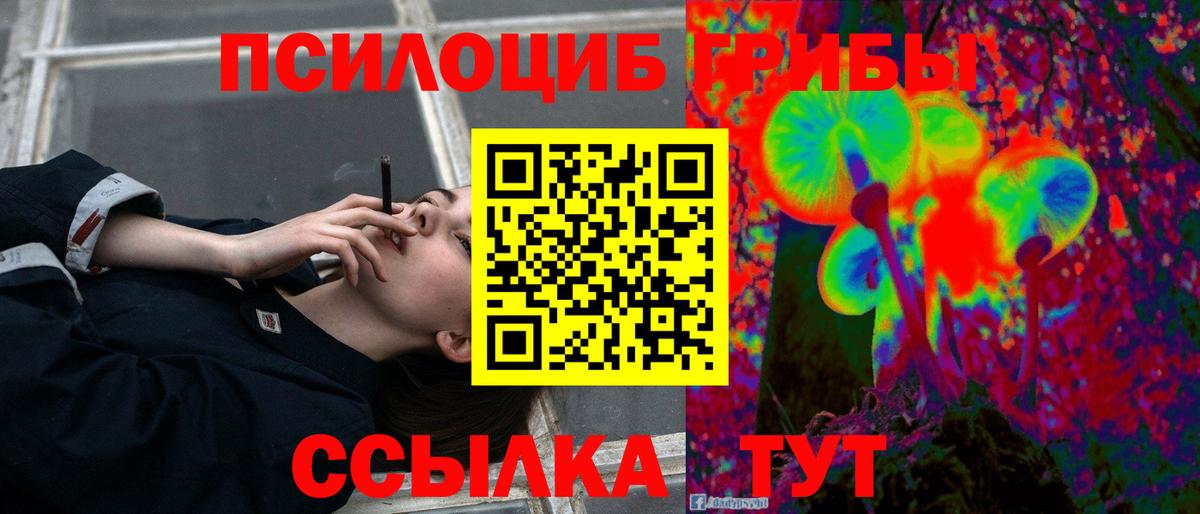 Псилоцибиновые грибы Magic Shrooms  Вход с VPN  Минеральные Воды  Псилоцибиновые грибы GOLDEN TEACHER 
